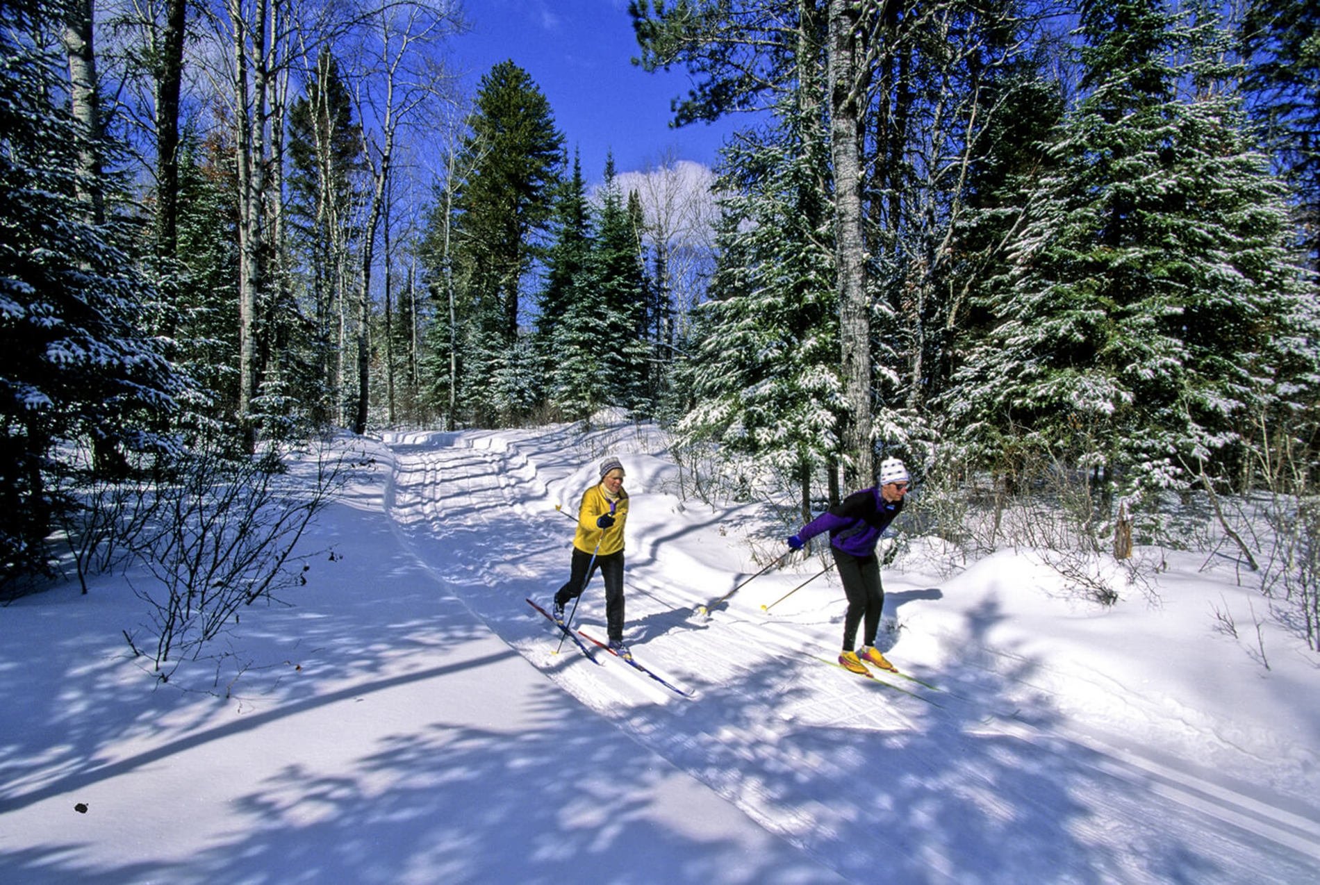 Лыжник в лесу. Лыжная база Измайлово. Катание на лыжах в лесу. Лыжная прогулка в лесу. Зимняя прогулка.