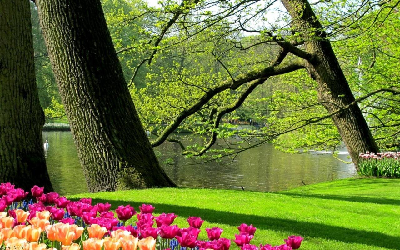 Красивые весенние фото природы. Природа весной. Весенний сад.