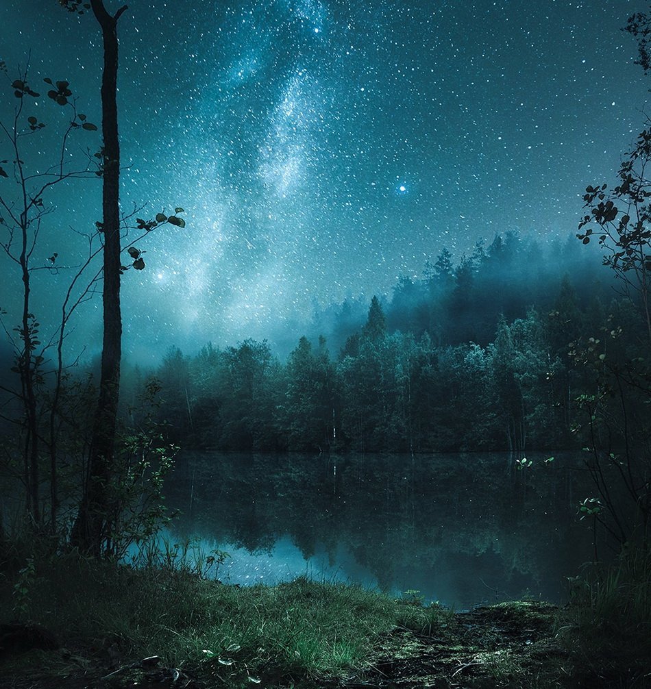Красивые леса ночью. Ночной лес. «Ночь в лесу». Таинственные пейзажи. Ночной пейзаж.