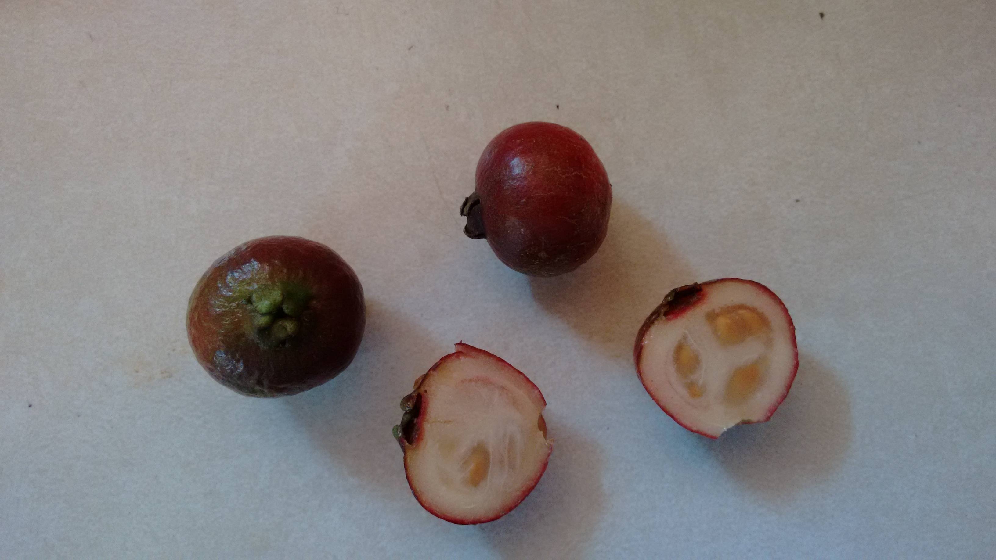 Маленькая ягода похожа. Зыкыр плод. Фрукт похожий на маленькое яблоко. Ягода с косточкой внутри. Ягода с тремя косточками.