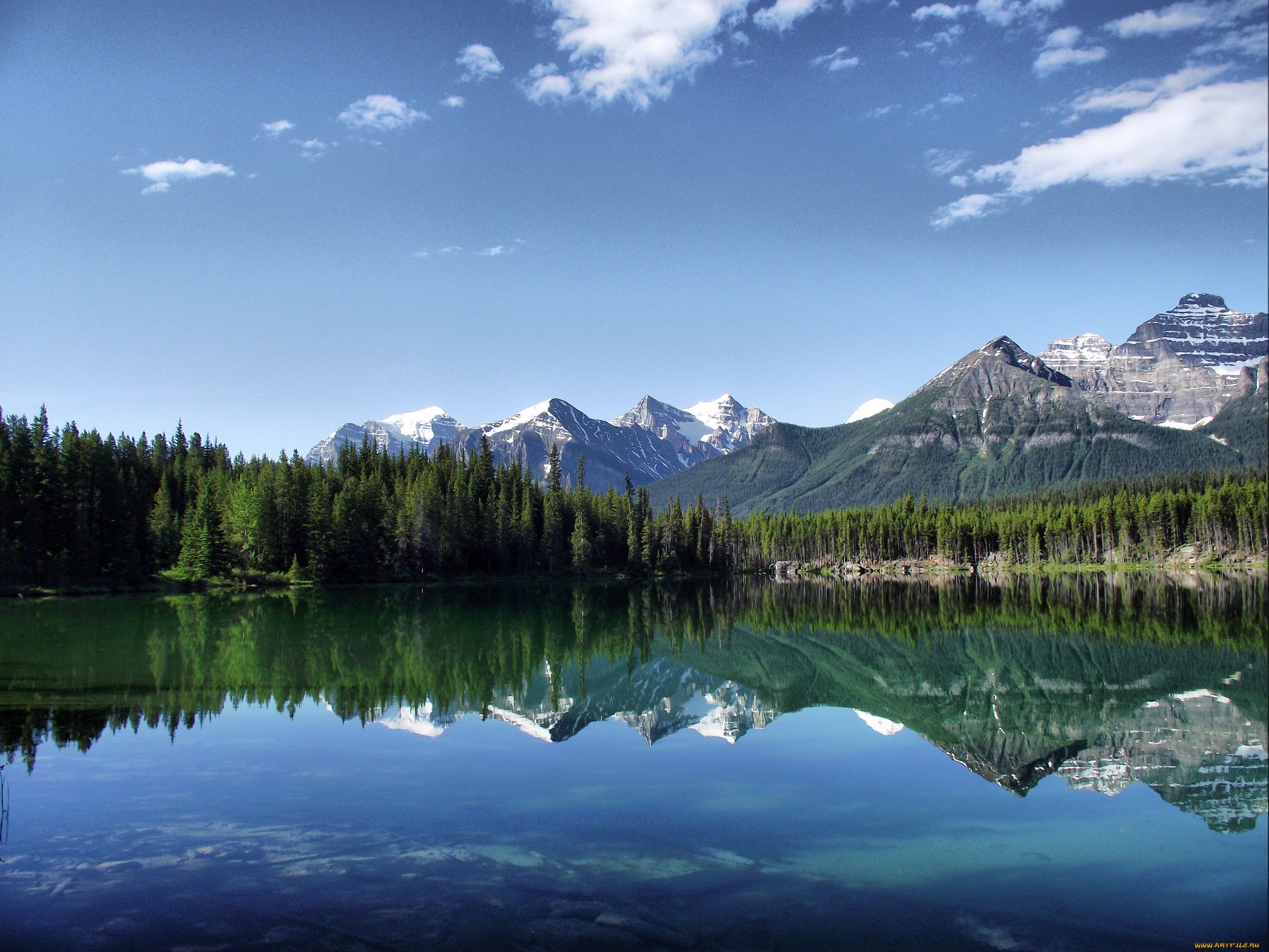 Изображение природы. Горное озеро. Горы лес озеро. Озеро в горах. Озеро в лесу.