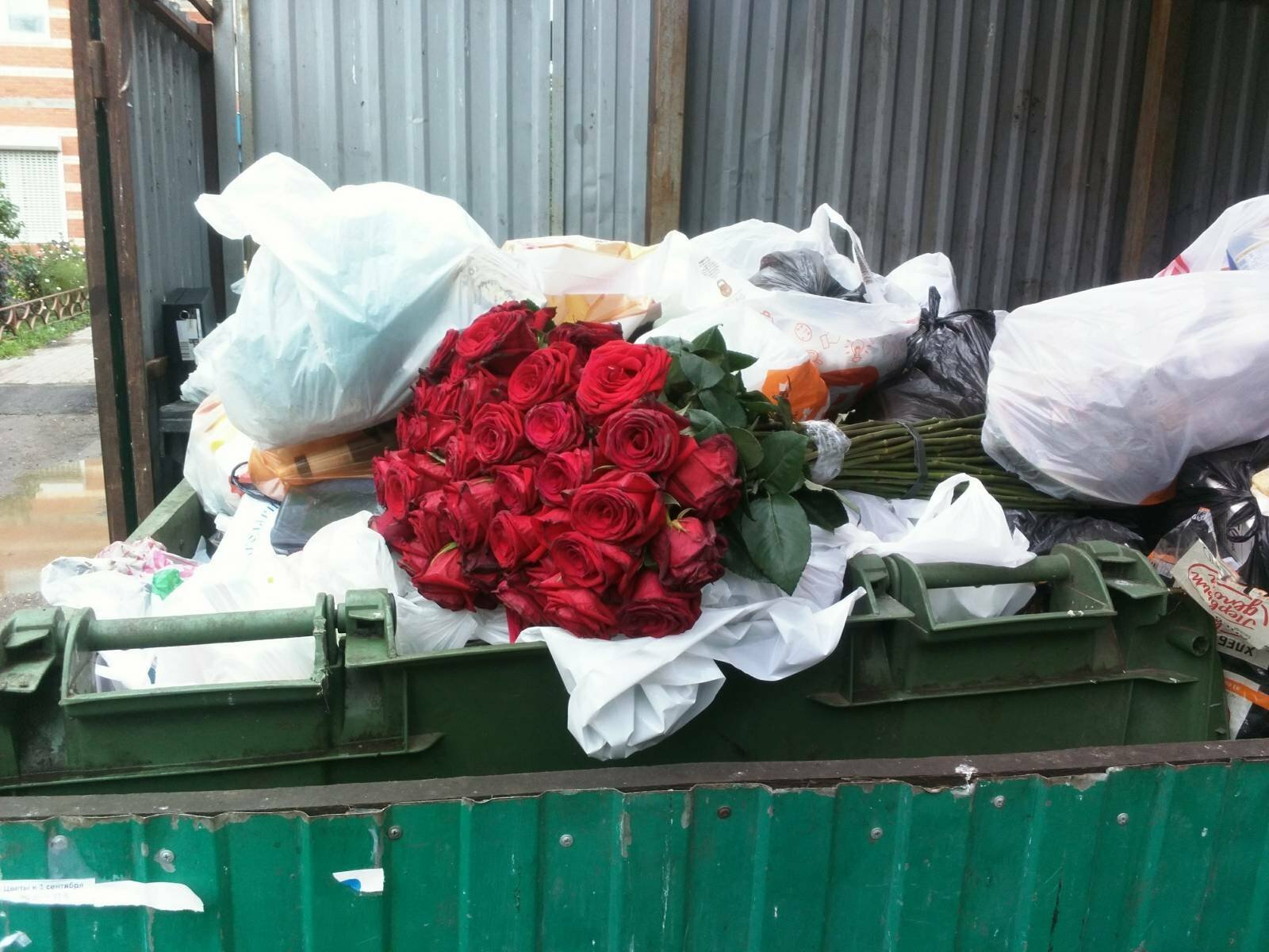 Букет цветов в мусорке. Выброшенные цветы. Букет роз в мусорке. Цветы выброшенные в мусорку.