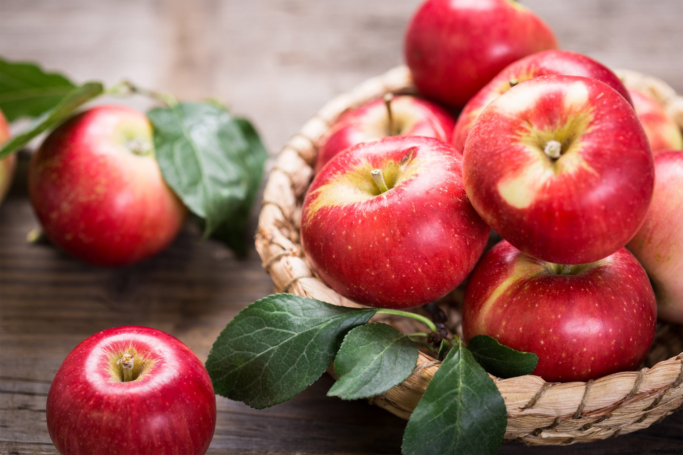 Apple fruit. Яблоки.