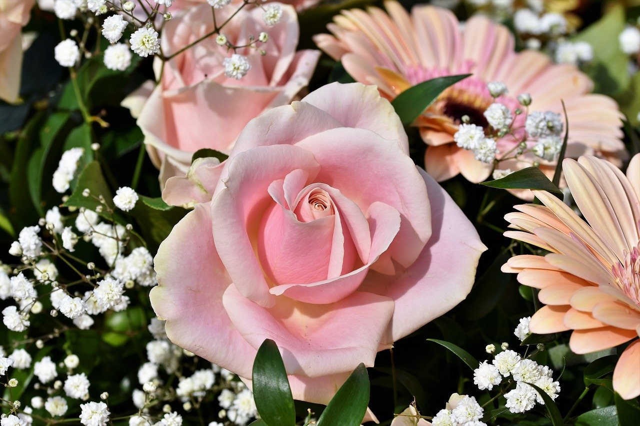 Благородные цветы. Цветы благородно. Благороднейшие розы. Романс цветы.