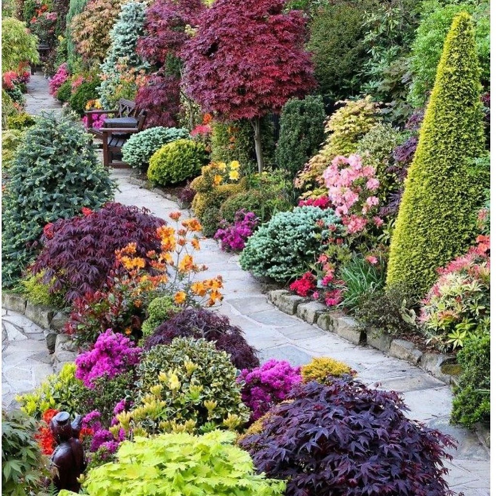 Садовые цветы разноцветные