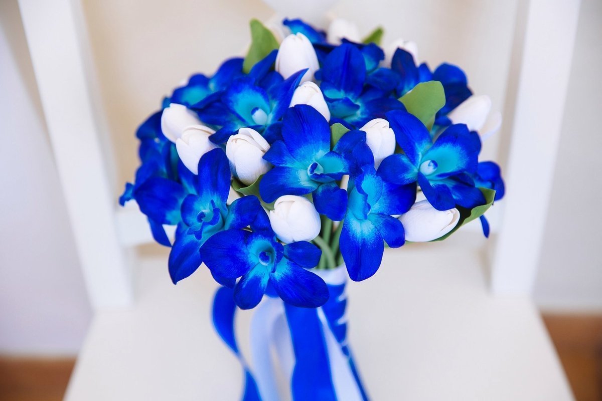 Букет в синем цвете. Букет невесты "синяя Орхидея". Букет невесты "синий Ирис". Орхидея Дендробиум синяя. Орхидея Дендробиум синяя букет.