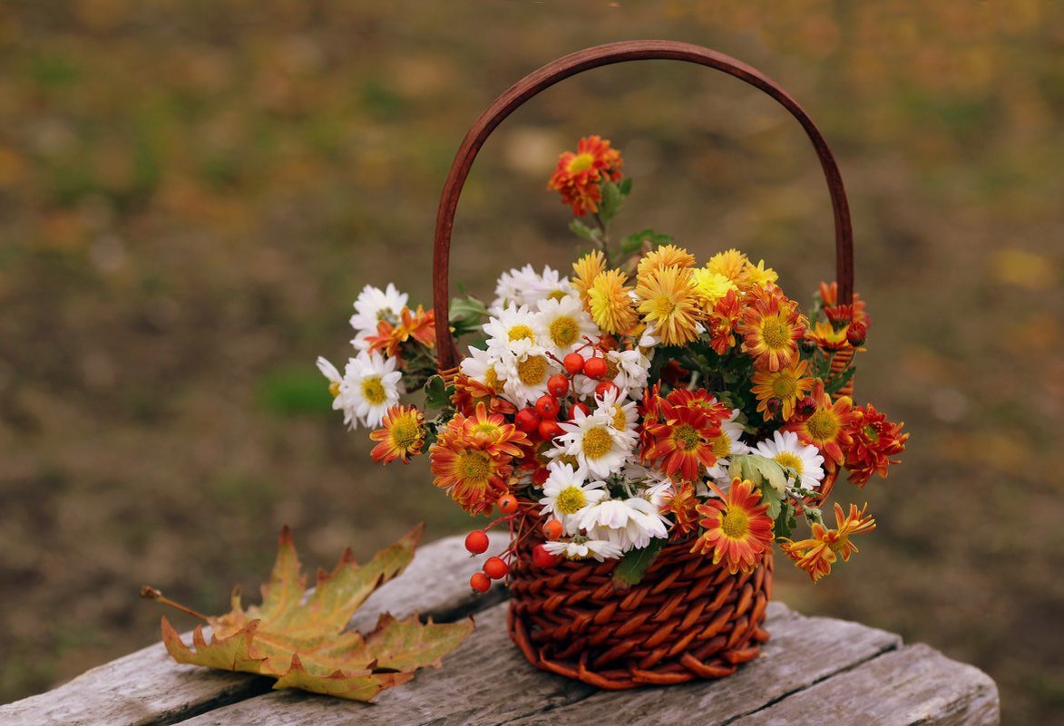 Утро октября картинки красивые. Осенние цветы. Осенний букет. Осенние цвета. Шикарный осенний букет.