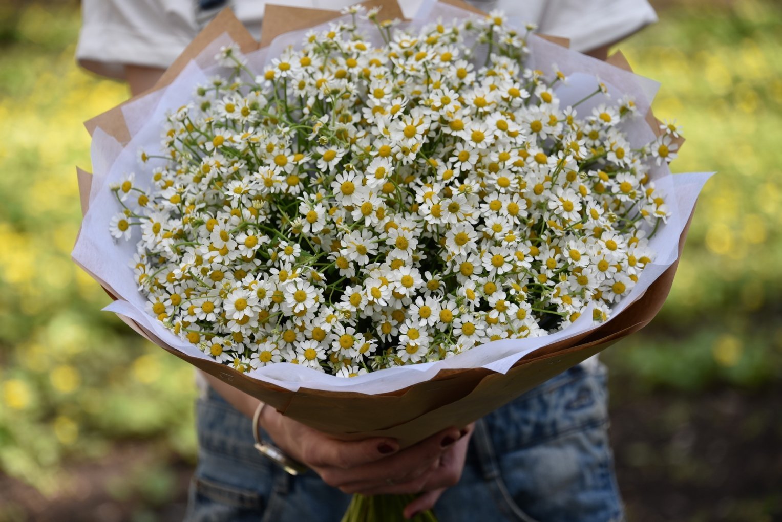 Ромашки маленькие кустовые