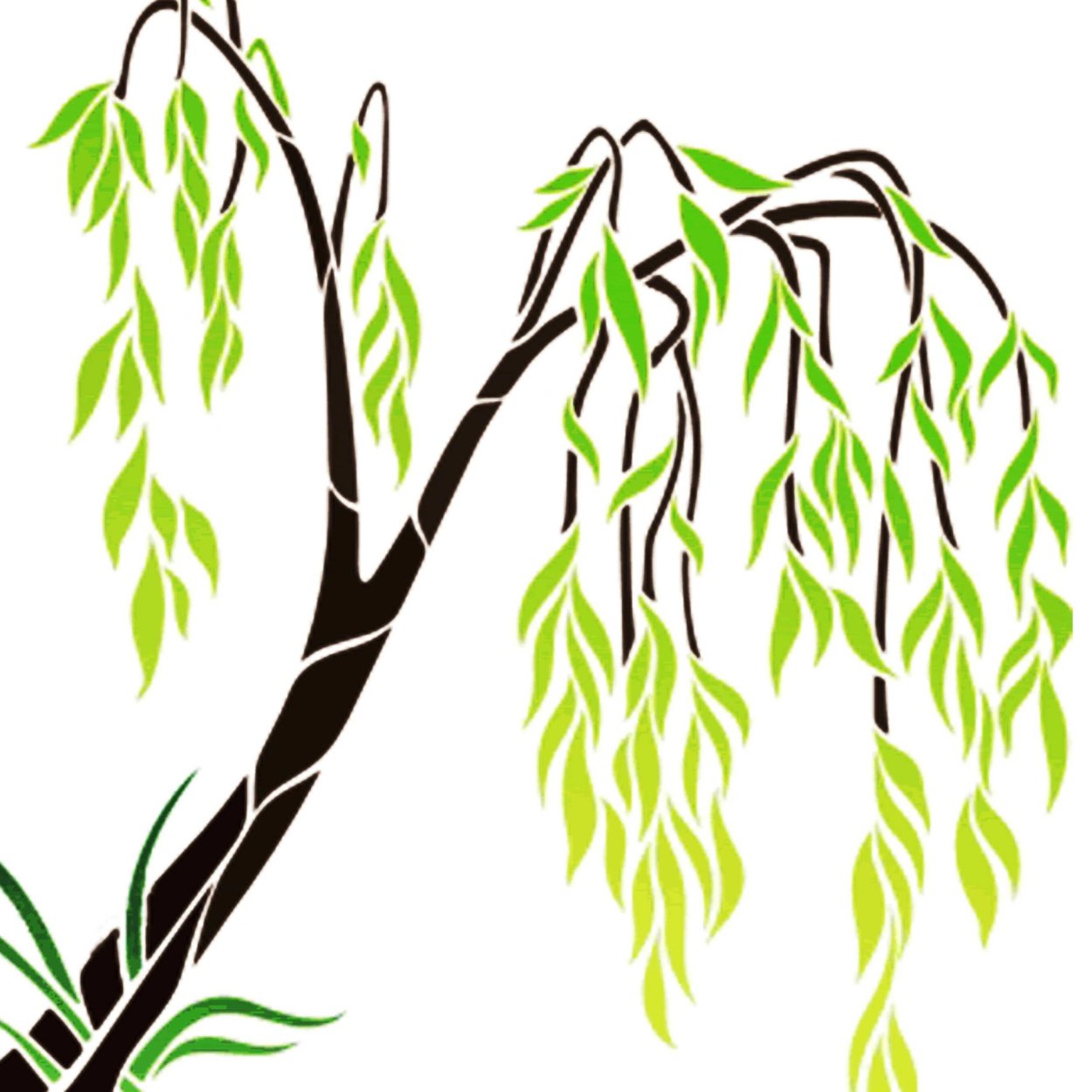 Живые ивовые изгороди