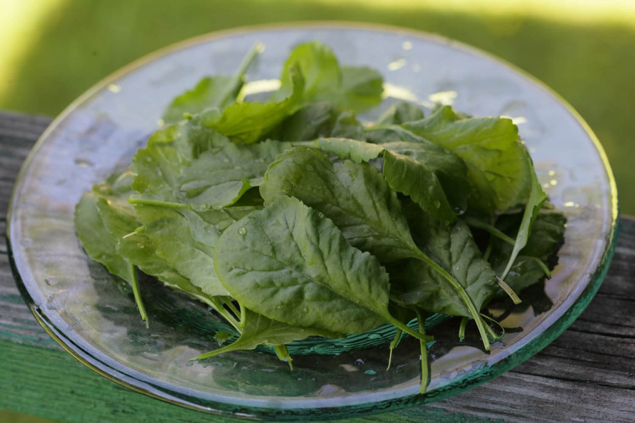 Кресс-салат Дукат