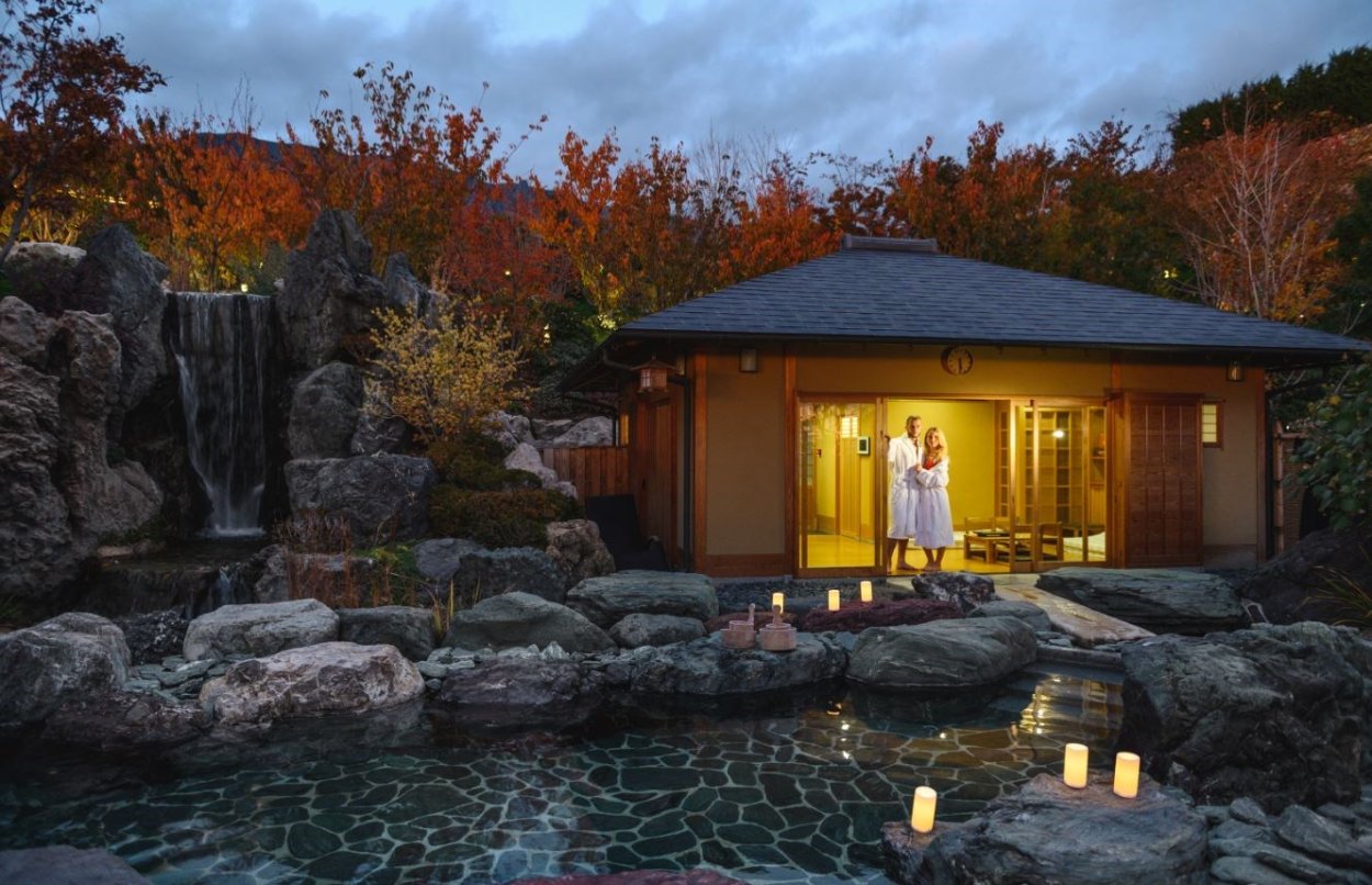 Мрия отель Крым японский сад