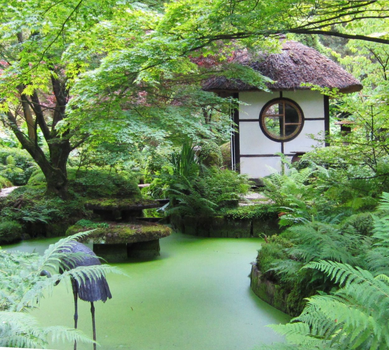 Голландия парк Клингендаел японский сад