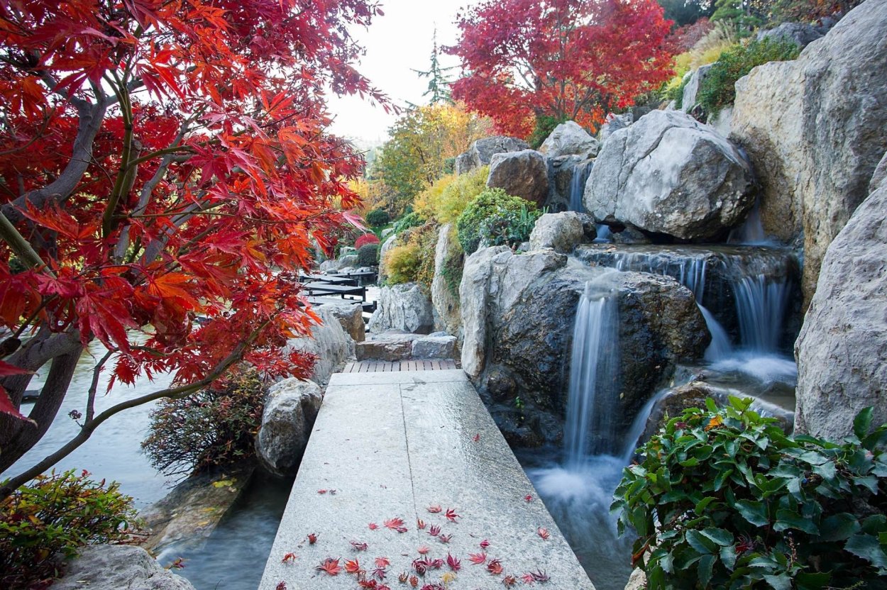 Парк Парадиз Крым японский сад