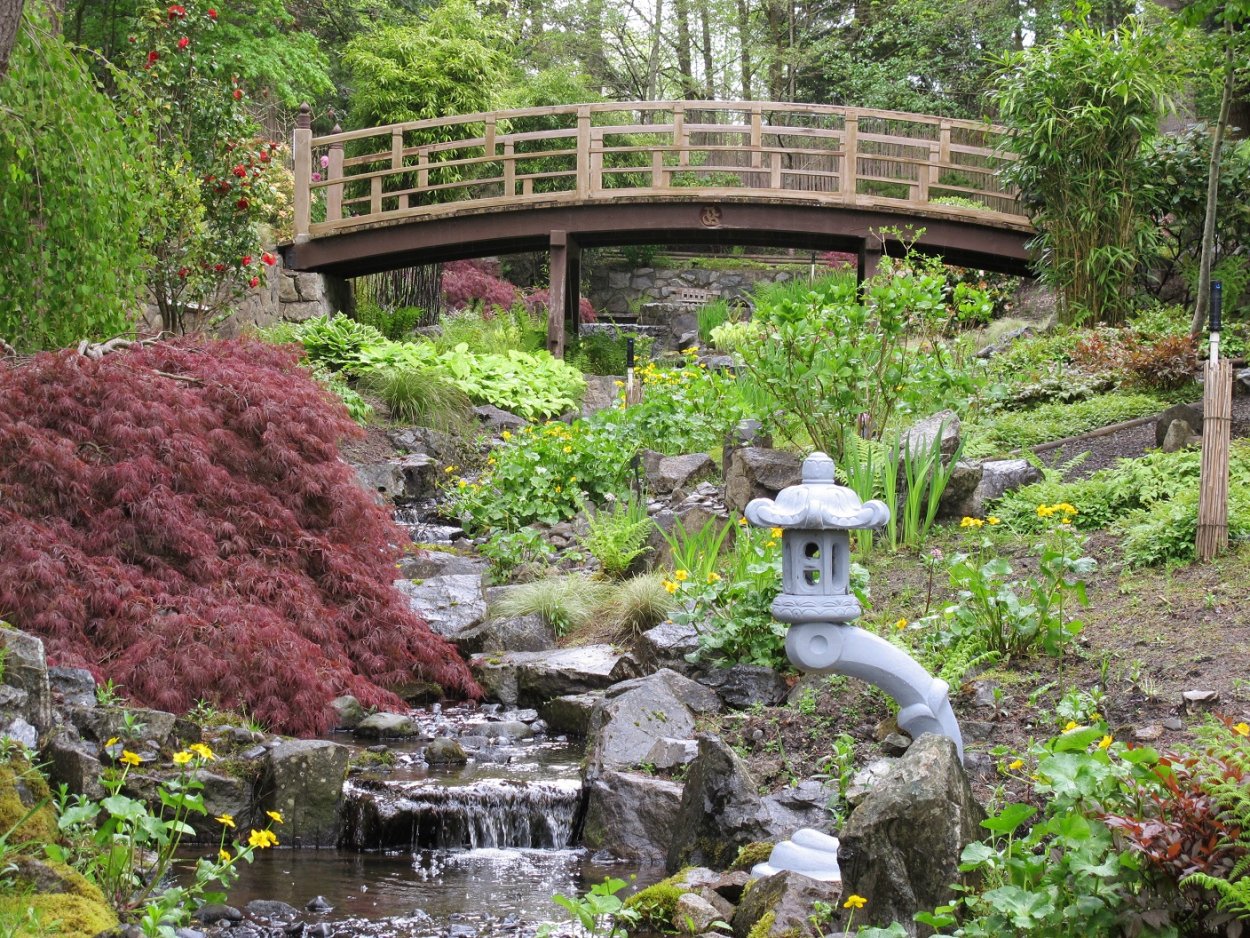 Японский сад ВДНХ