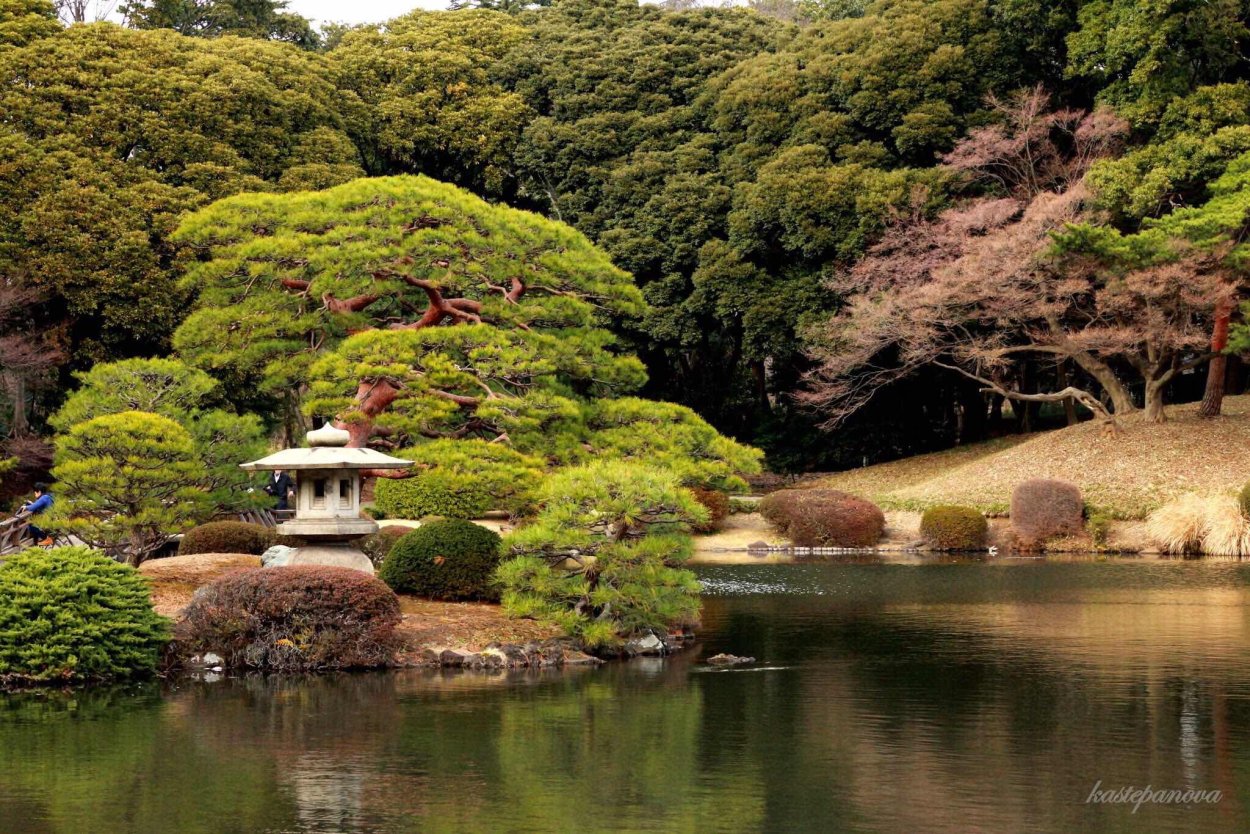 Синдзюку-гёэн – Императорский парк.