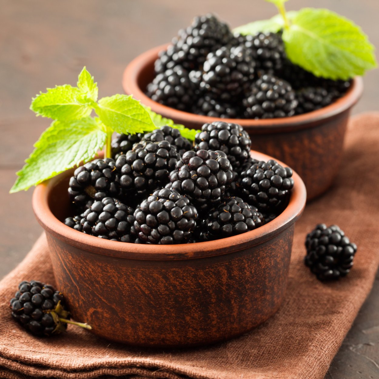 Ежевика картинки