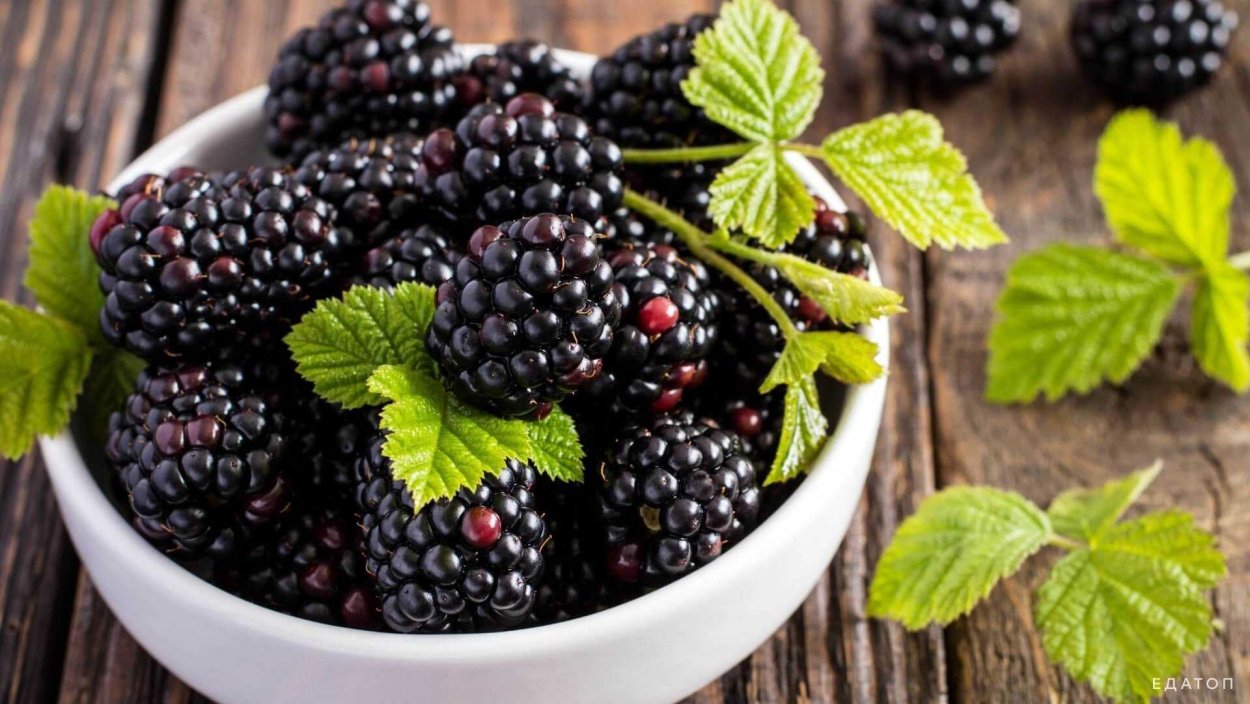 Блэкберри ежевика