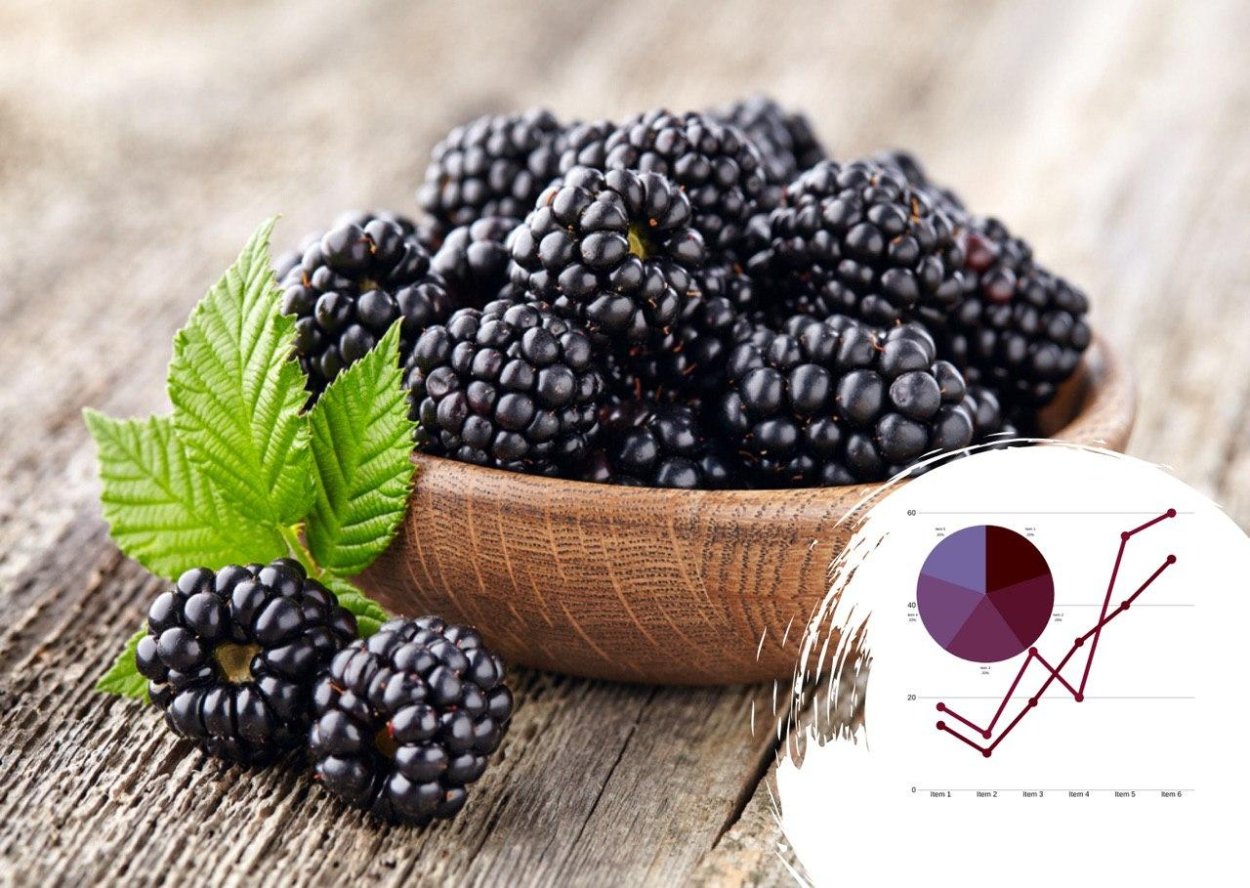 Ежевика ягода