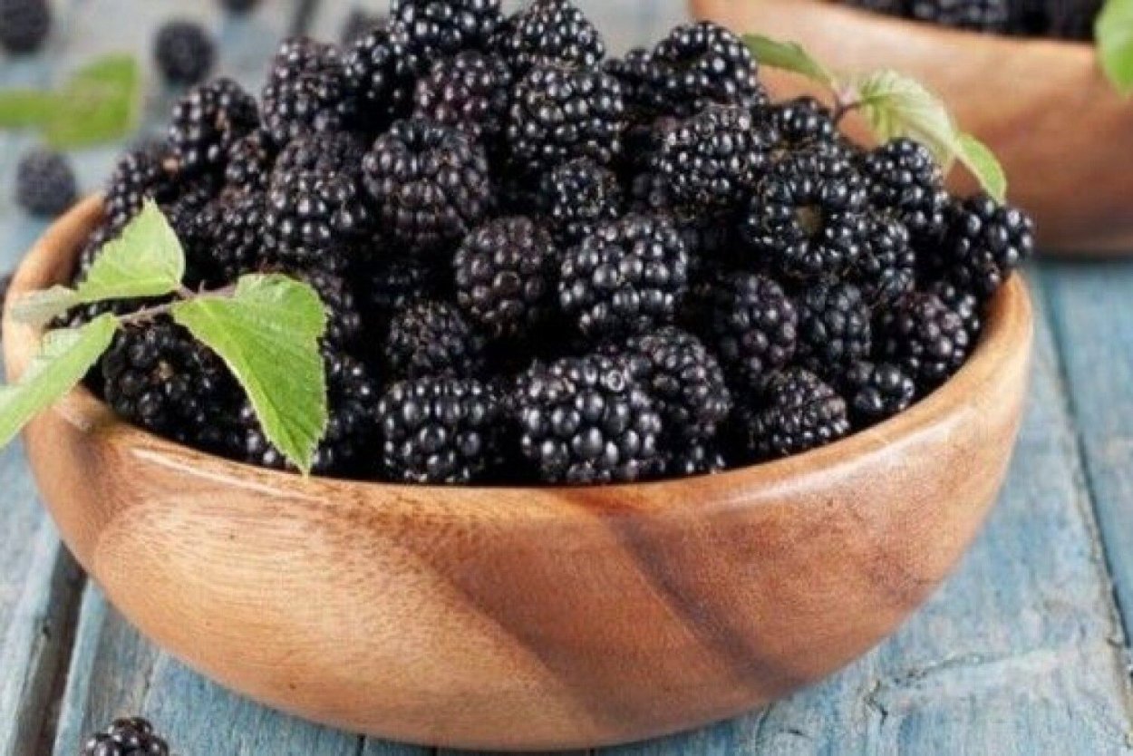 Ежевика в кулинарии