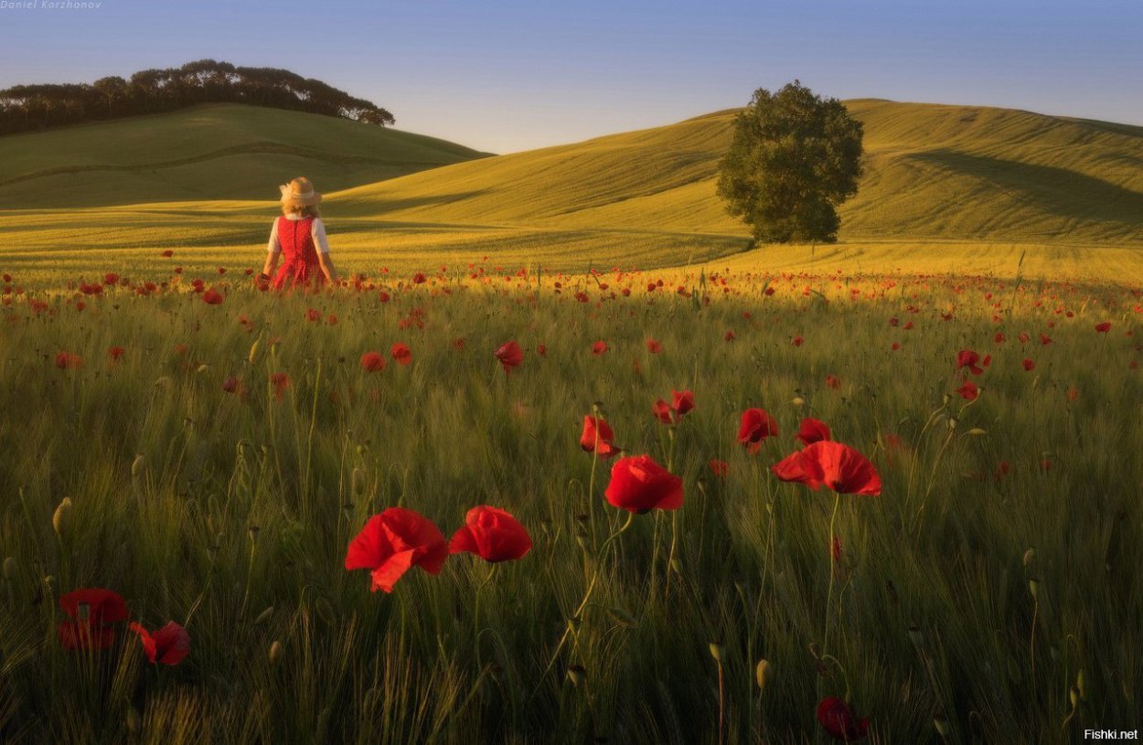 Коржонов Даниил пейзажи