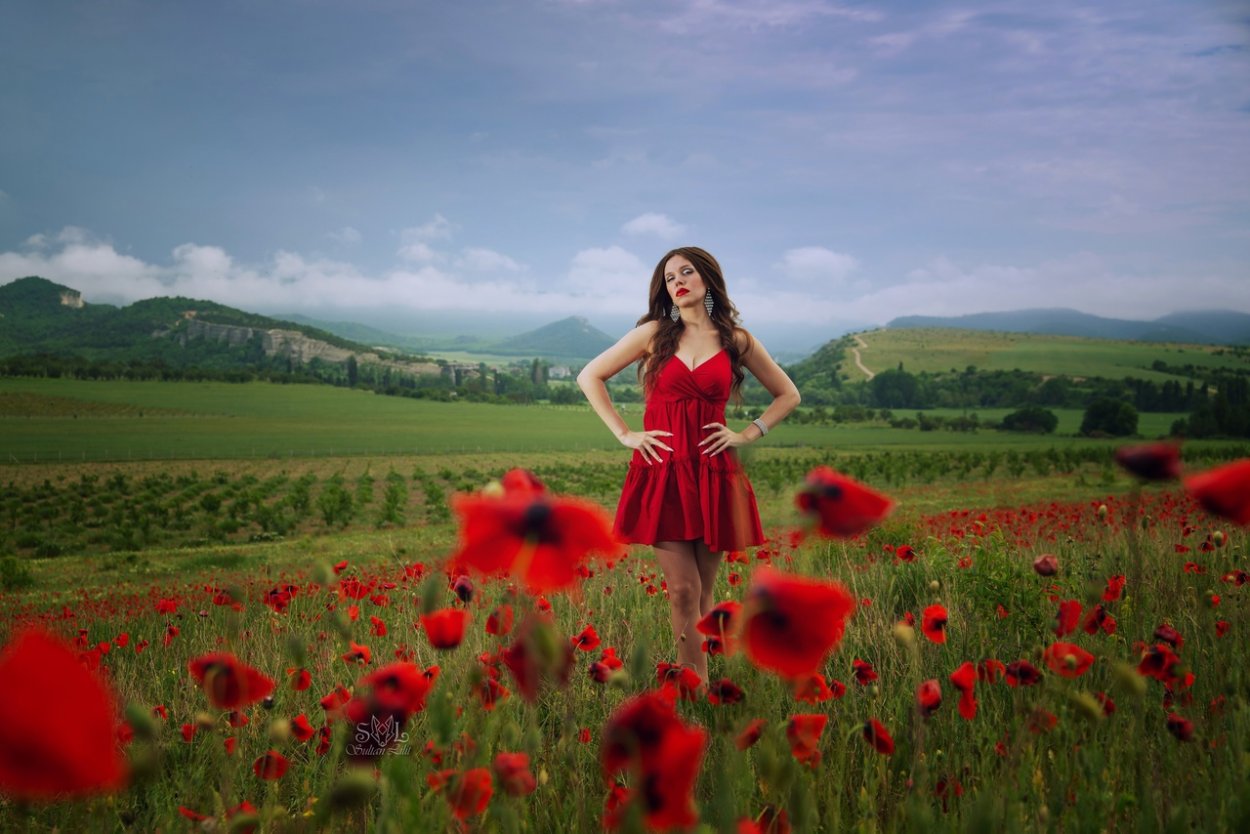 Маки в Крыму 2022