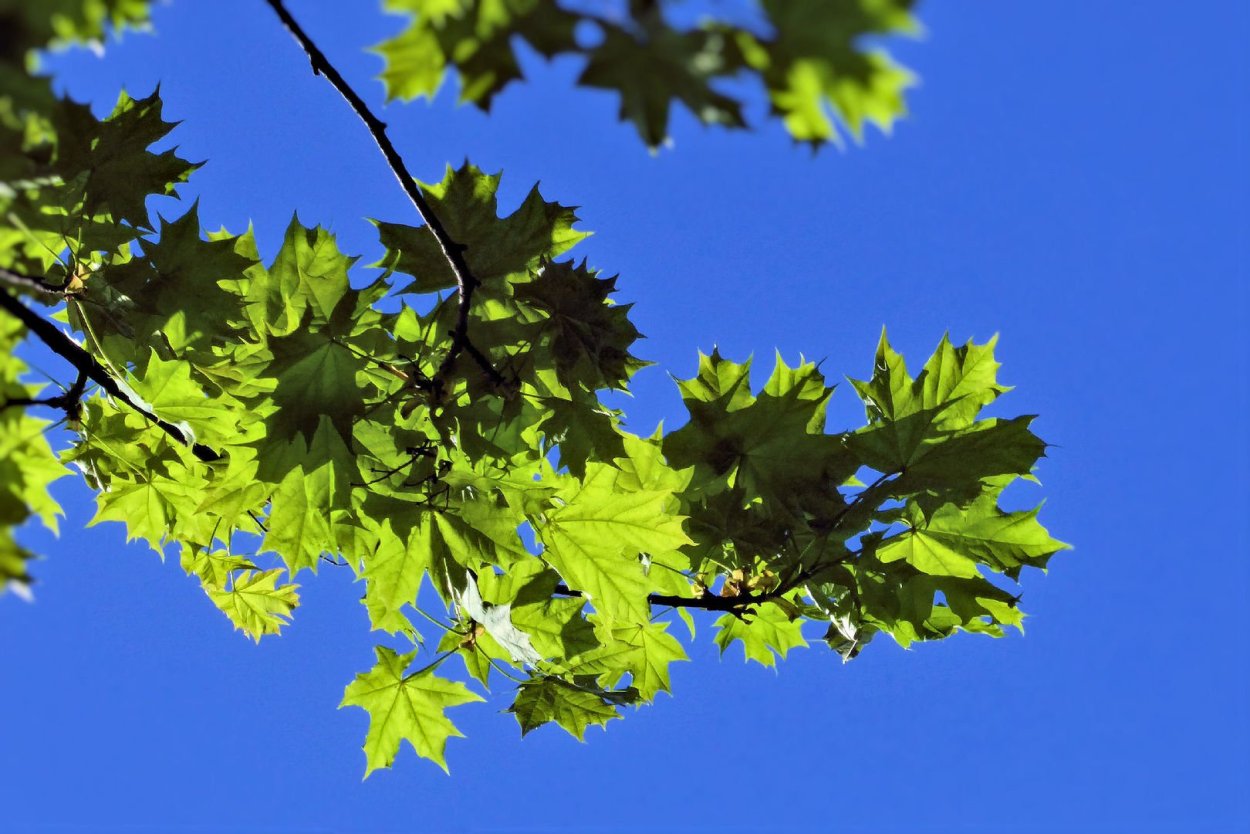 Осенняя Эстетика