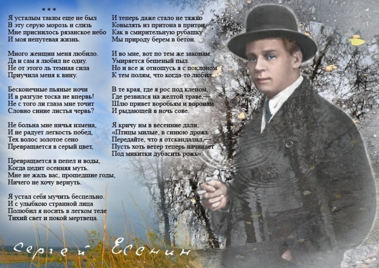 Клен остролистный лист