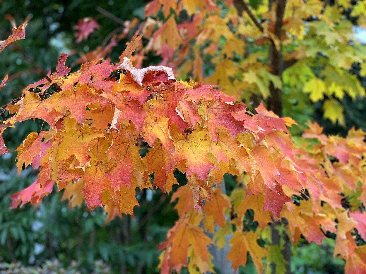 Клапан электропневматический 638м.101.а63s04.PS