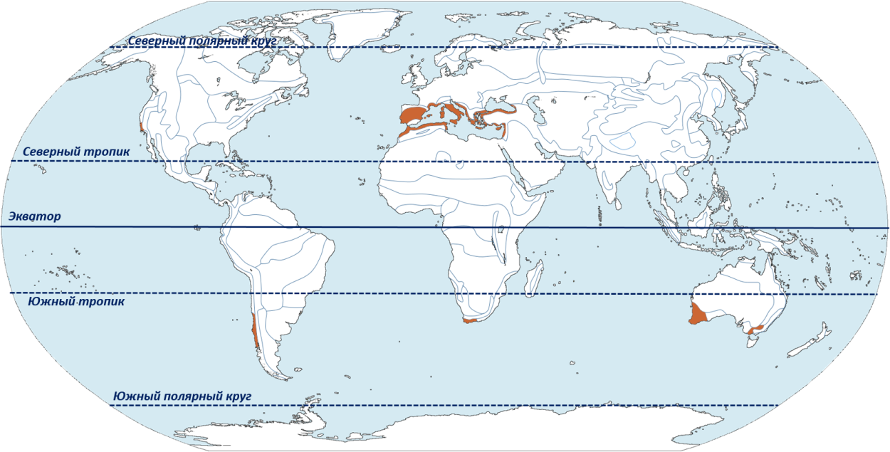 Южный полярный круг материк южная америка. Жестколистные вечнозеленые леса и кустарники на карте. Южные тропики на карте. Расположение тропиков на карте. Средиземноморские леса на карте.