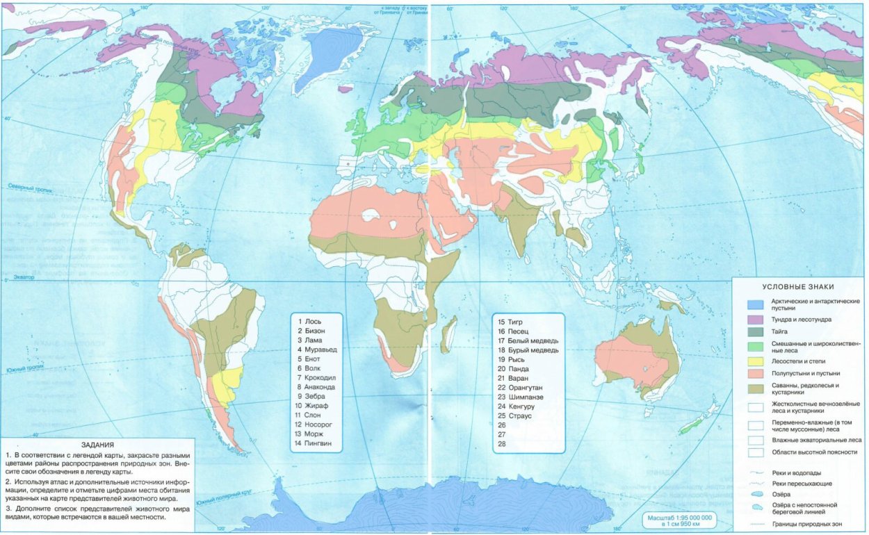 жестколистные леса и кустарники раст мир фото 97