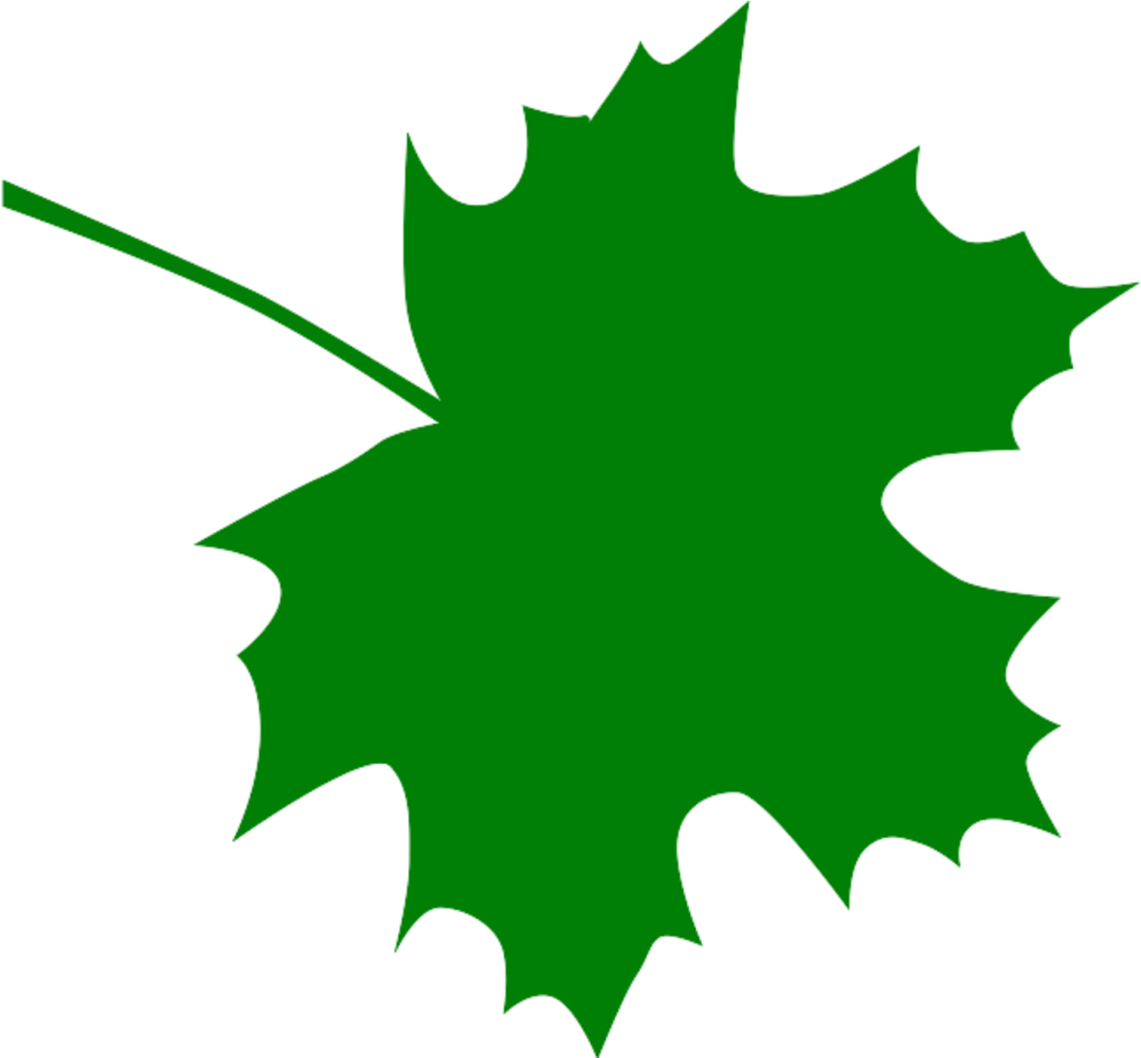 Разноцветный лист клена. Maple кленовый лист. Листья деревьев. Кленовый лист рисунок. Кленовый лист зеленый.