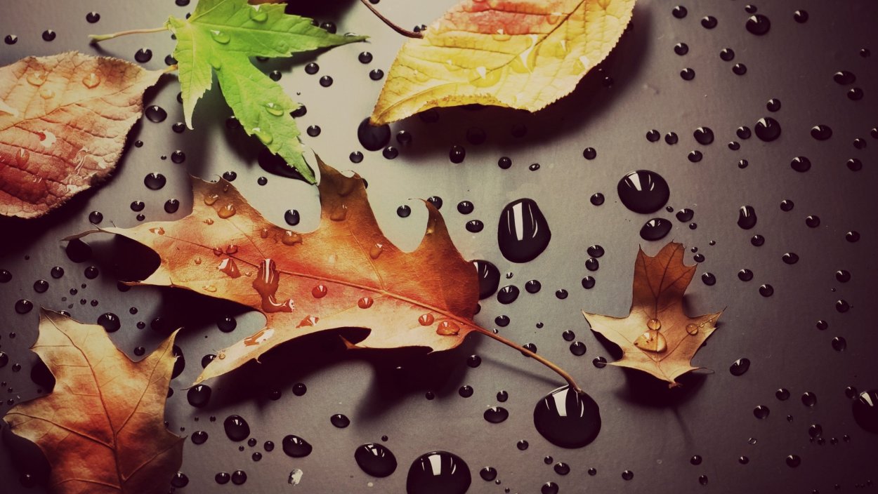 Осенний фон на рабочий стол