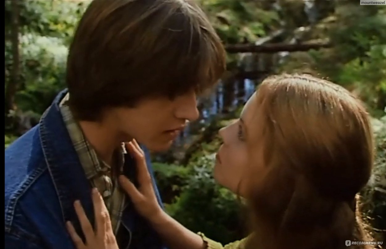 Лесная ягода костяника