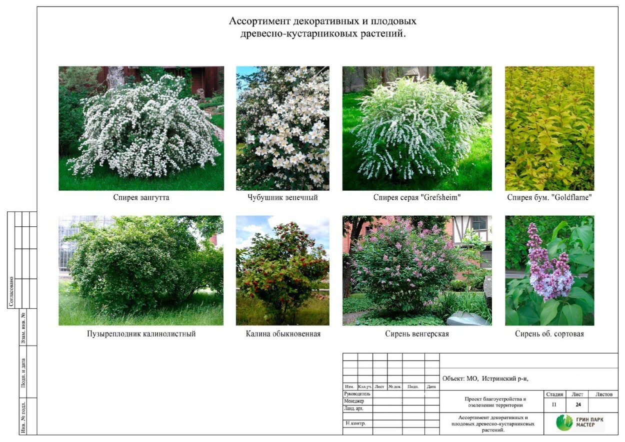 Листья кустарников