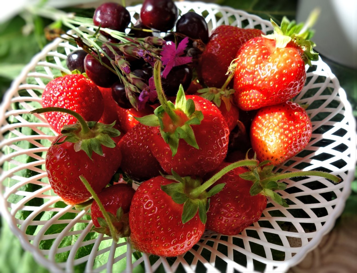 Клубника Лесная, Полуница