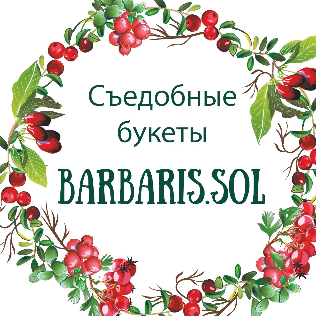 Веточка барбариса без ягод