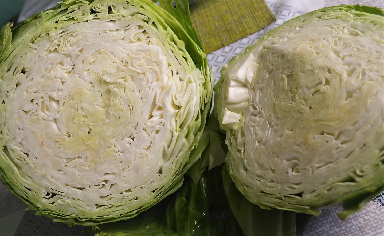 Капуста акварелью