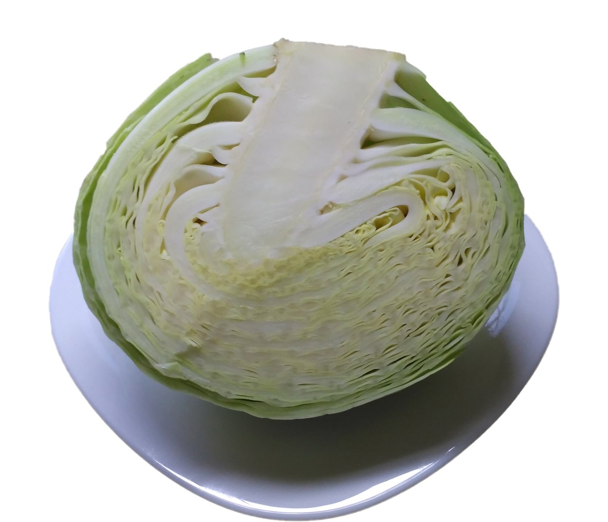 Капуста белокочанная кочерыжка