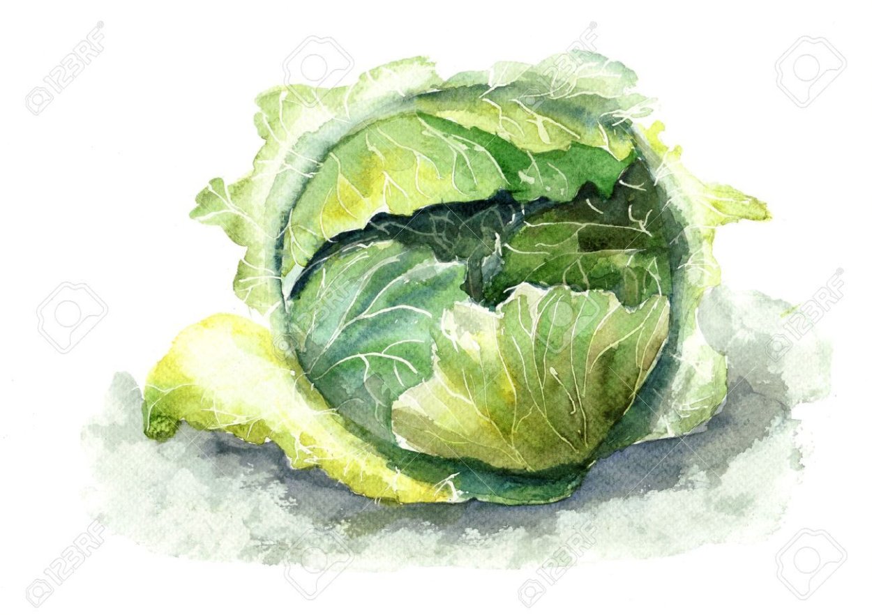 Капуста кусками