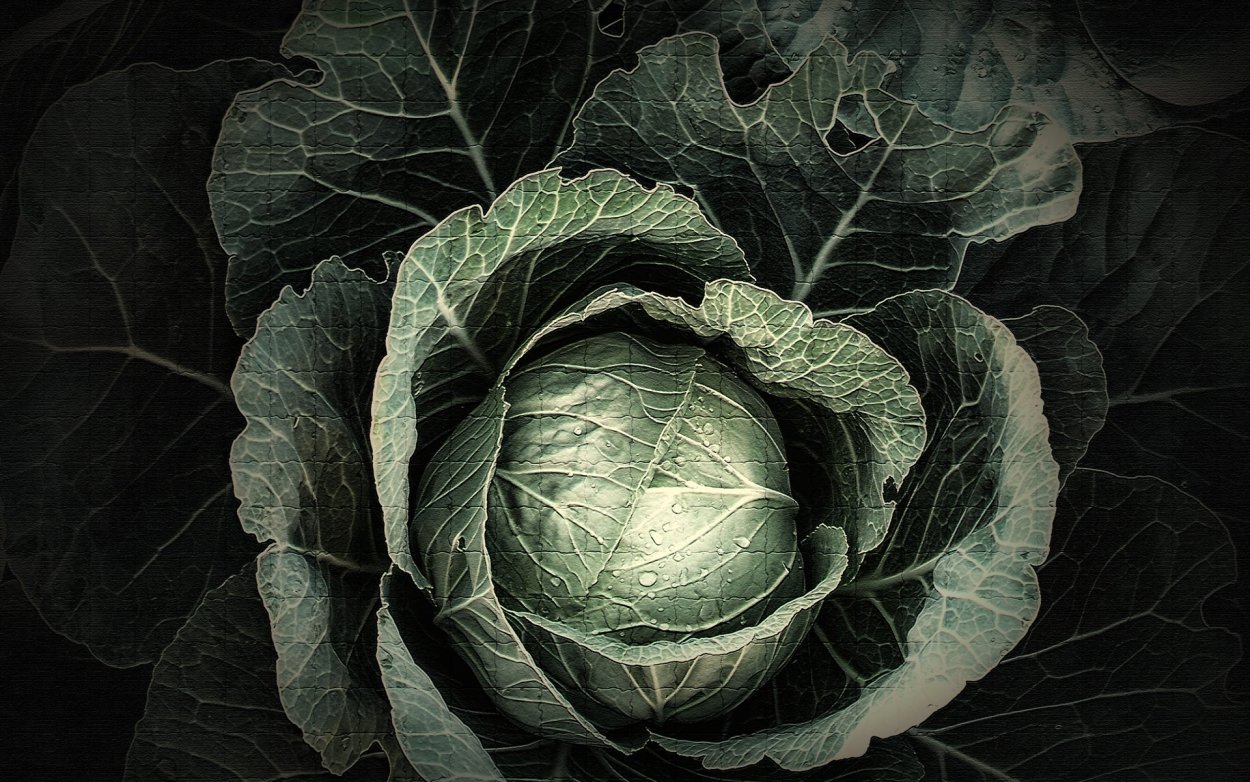 Капуста белокочанная Етма