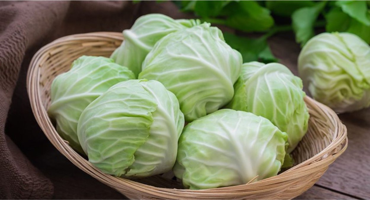 Уборка капусты на даче