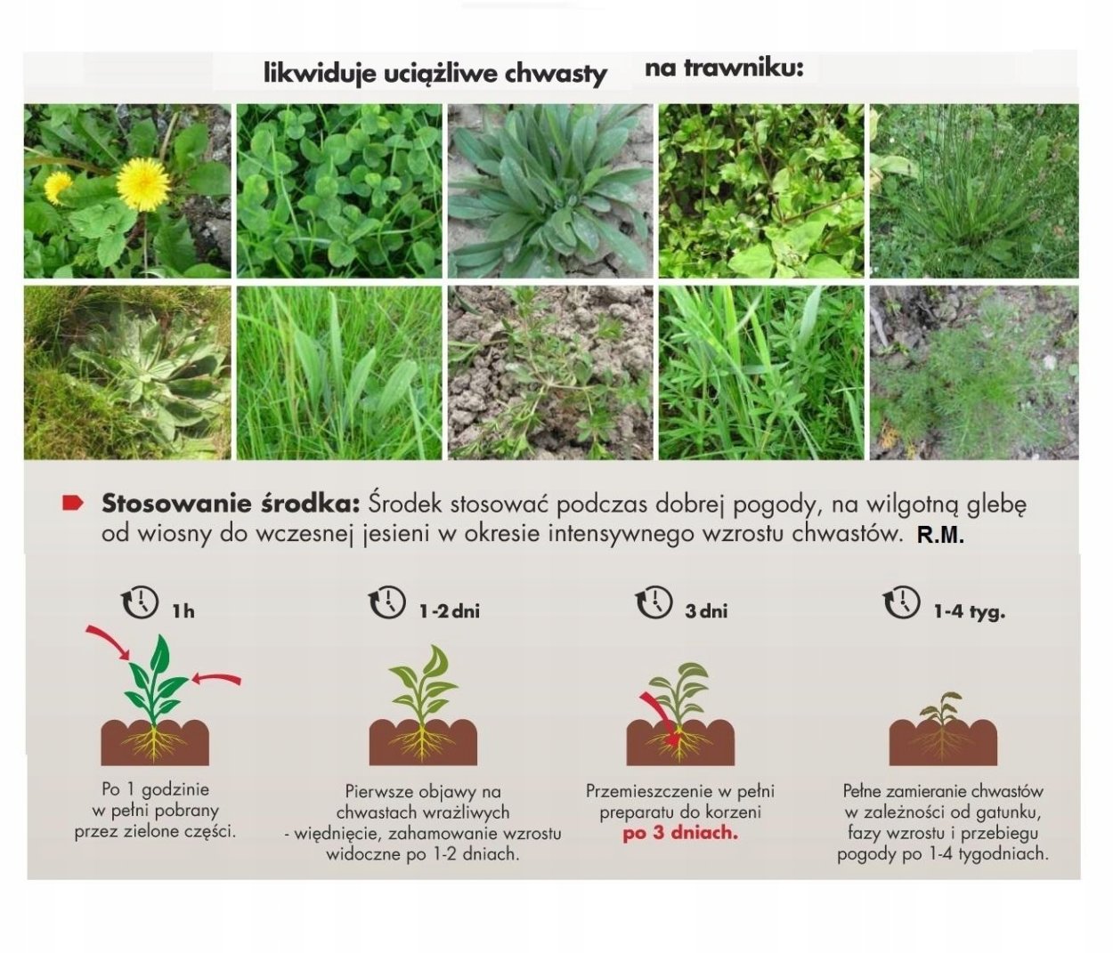Сорняки названия