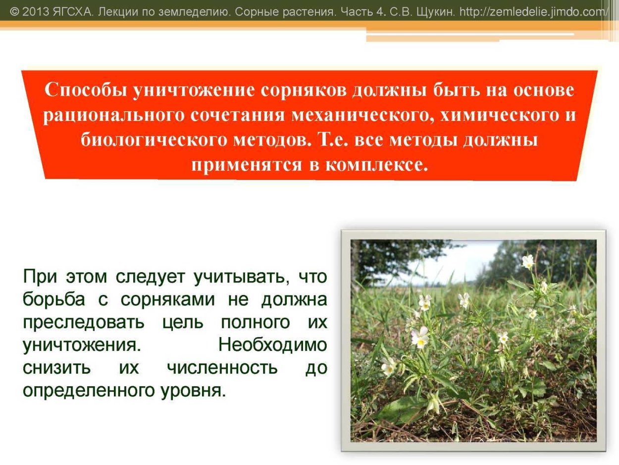 Биологические методы борьбы с сорняками