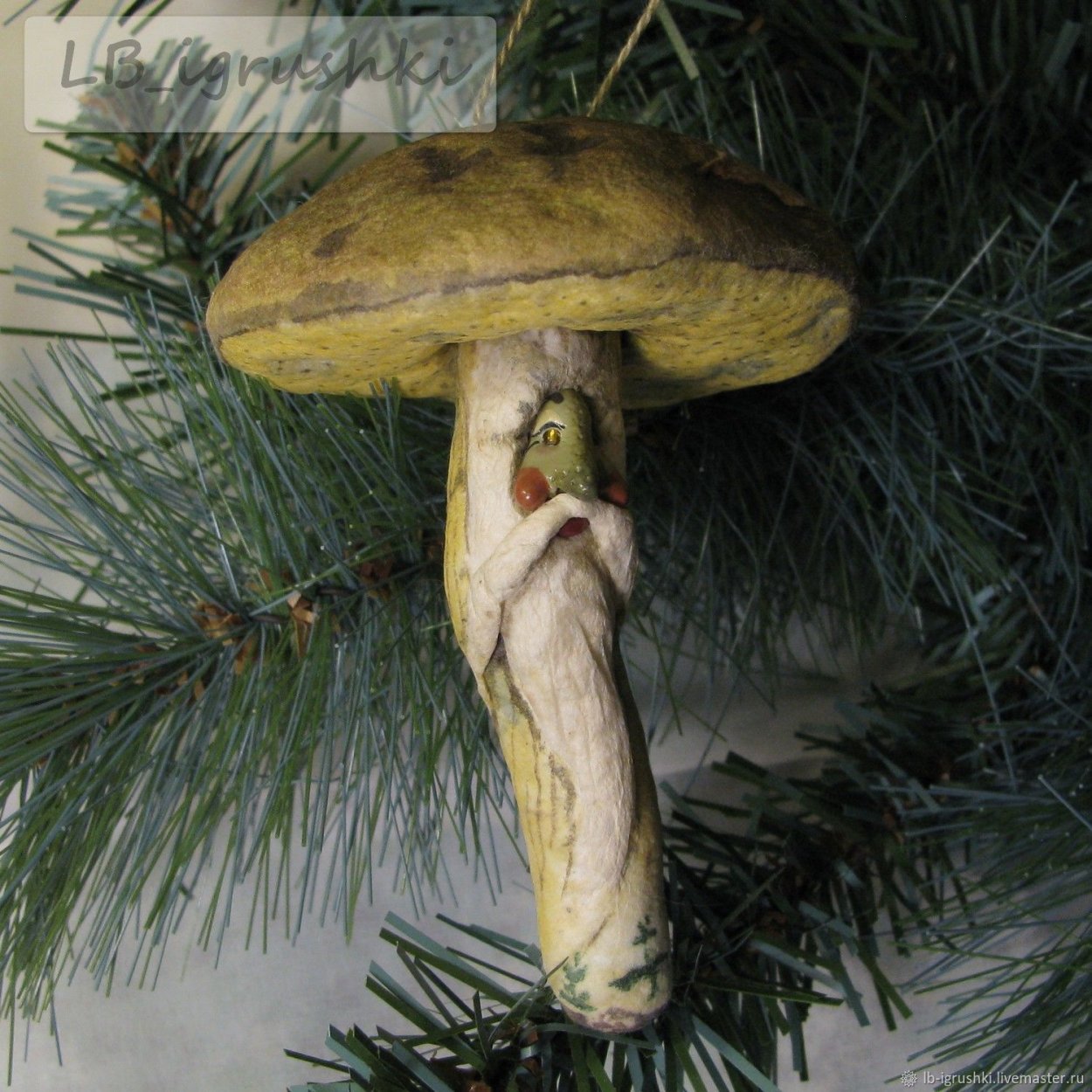 Моховик гриб