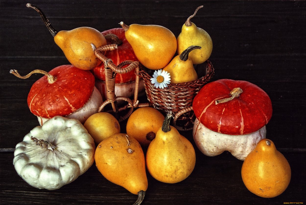 Тыква декоративная Боровичок