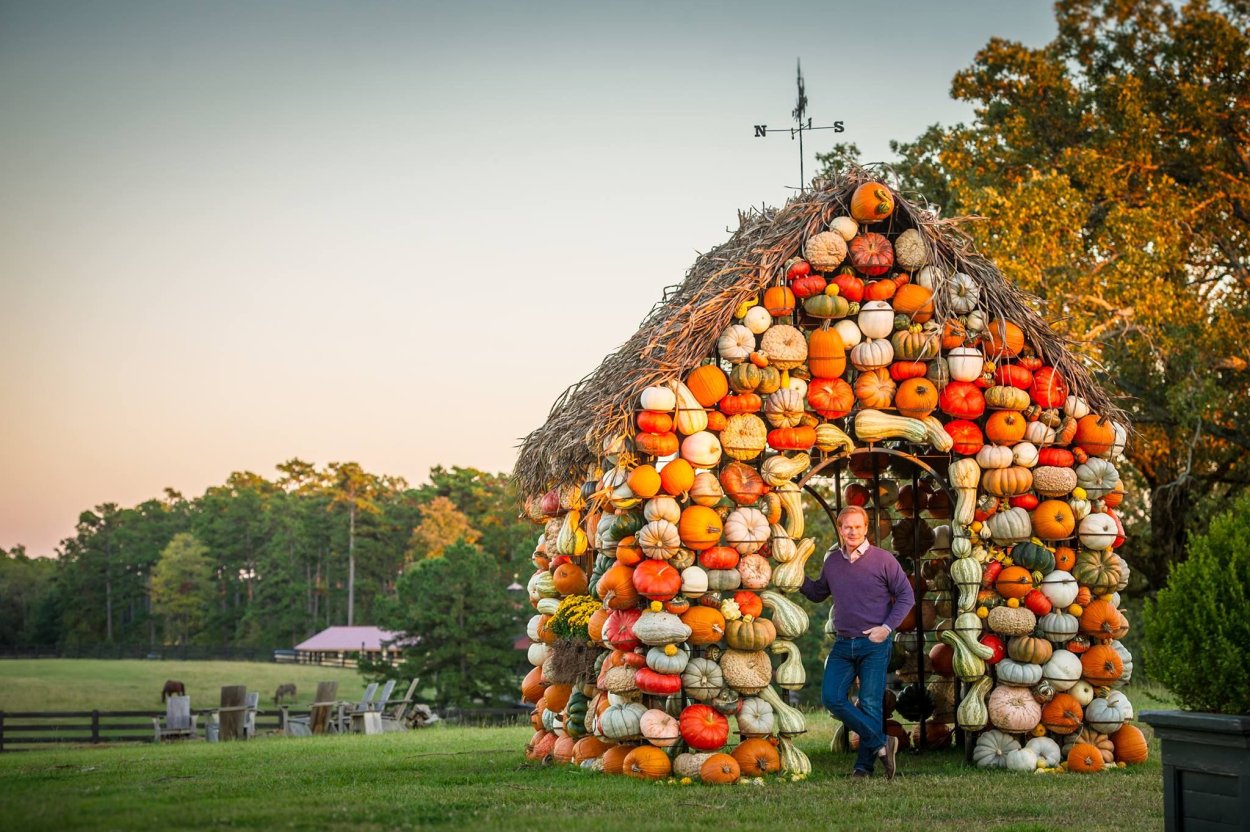 Тыква декоративная Боровичок