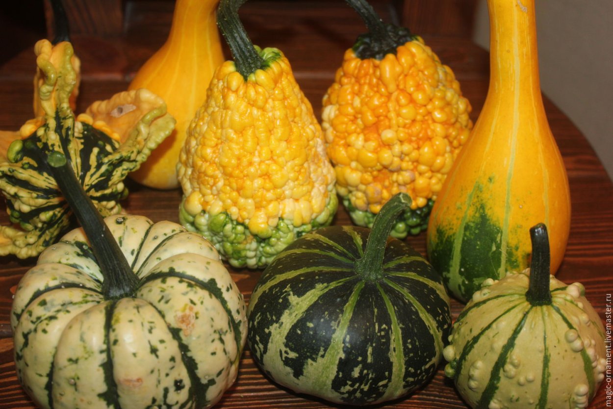 Декор "тыква"