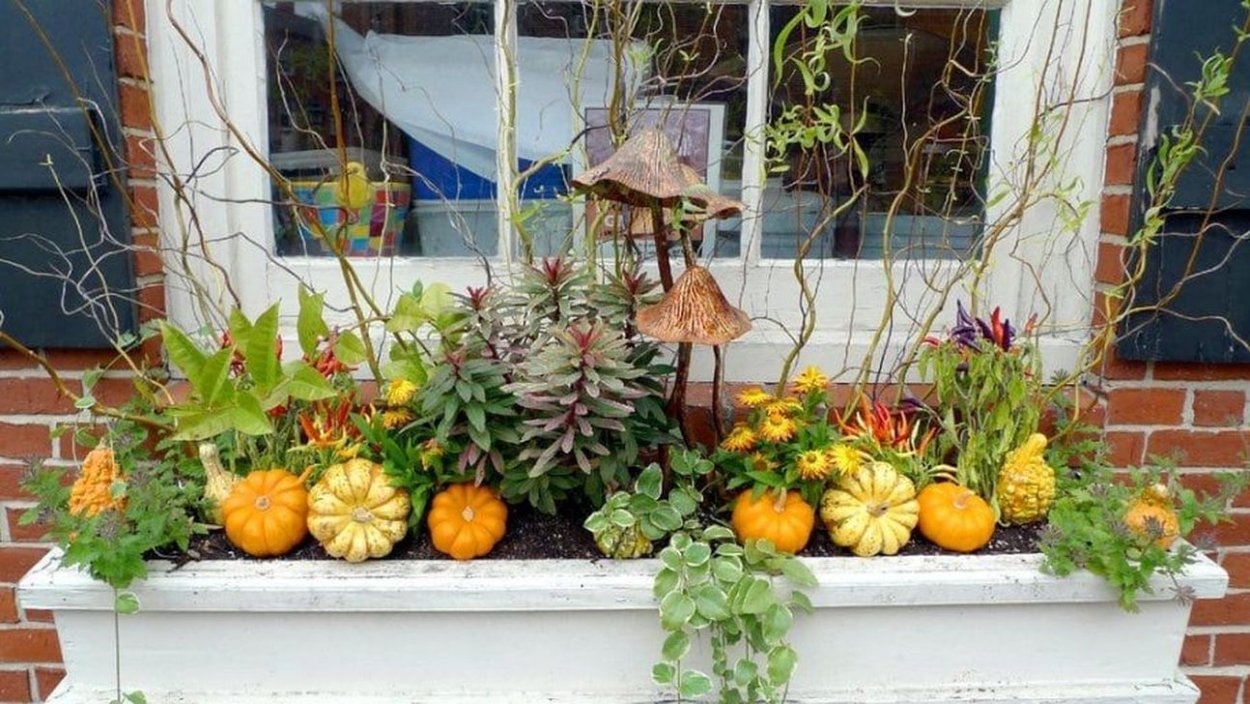 Огурцы на вертикальной грядке