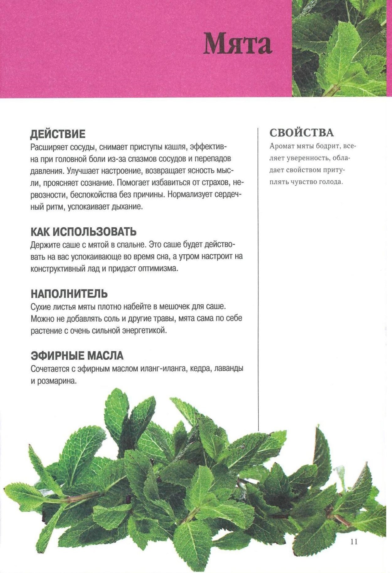 Травы для иммунитета