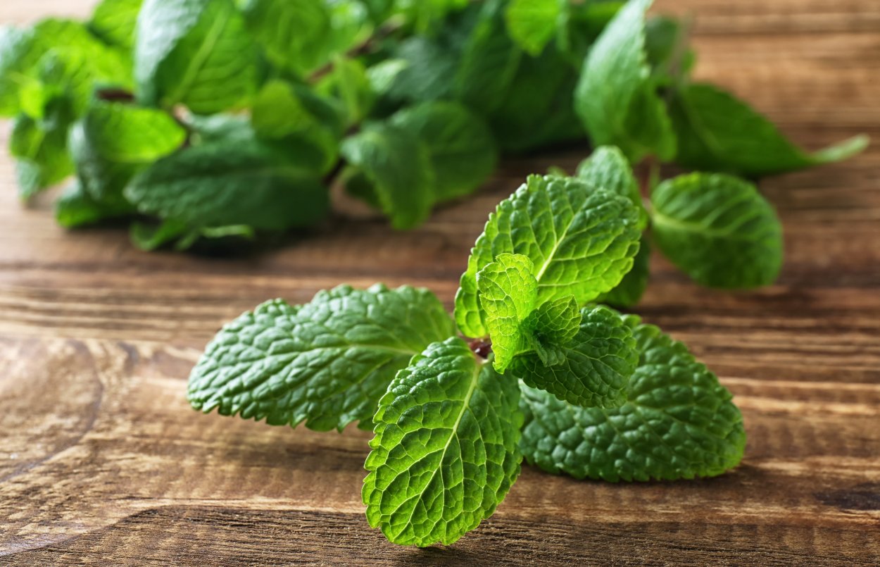 Листочки от мяты